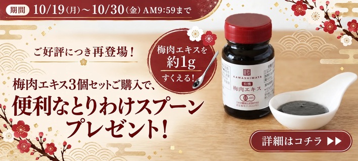 ����������3�ĥ��åȤ������ǡ��Ȥ�櫓���ס���ץ쥼���